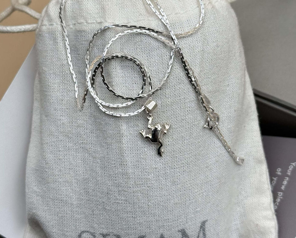 Silver Frog Pendant Necklace | 925 Sterling Silver Animal Charm Jewelry | Cute Frog Necklace for Women & Men | Unique Nature Gift