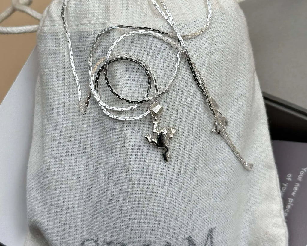 Silver Frog Pendant Necklace | 925 Sterling Silver Animal Charm Jewelry | Cute Frog Necklace for Women & Men | Unique Nature Gift