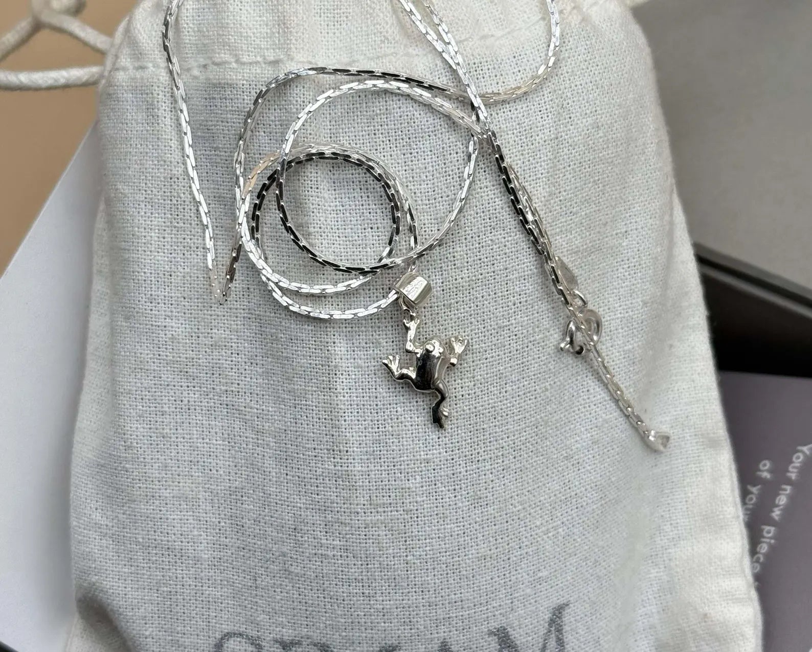 Silver Frog Pendant Necklace | 925 Sterling Silver Animal Charm Jewelry | Cute Frog Necklace for Women & Men | Unique Nature Gift